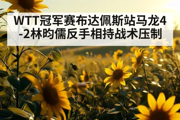 WTT冠军赛布达佩斯站马龙4-2林昀儒反手相持战术压制