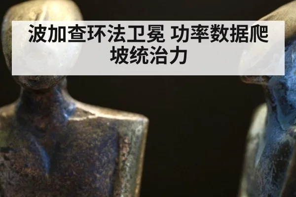 波加查环法卫冕 功率数据爬坡统治力