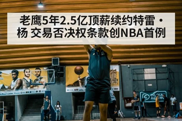 老鹰5年2.5亿顶薪续约特雷·杨 交易否决权条款创NBA首例