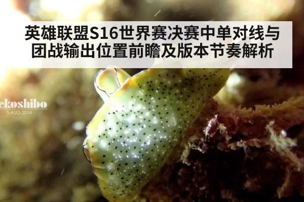 英雄联盟S16世界赛决赛中单对线与团战输出位置前瞻及版本节奏解析